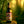 Charger l&#39;image dans la galerie, The Nemeton CASK STRENGTH Edition!!!
